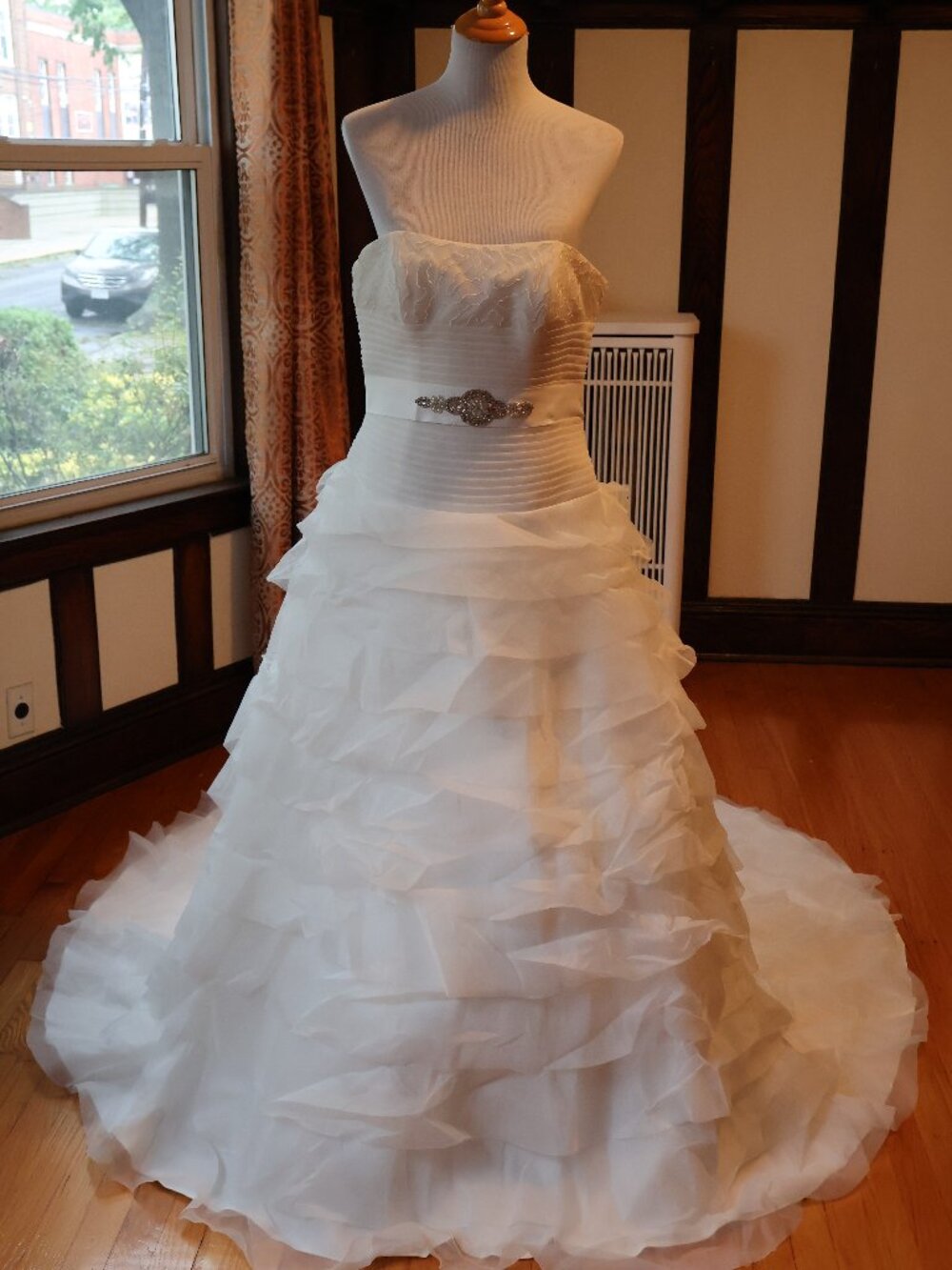 Pronovias Wedding Dress